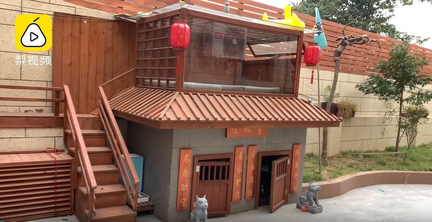 YouTube/梨好好看 Welcome to Villa Doggo.